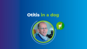 Play “    AST Webinar - dr. Tim Nuttall - Otitis in a dog”