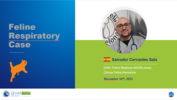 Play “    Dr Salva Cervantes - Respiratory infection in a cat”