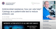 Play “    Antimicrobial resistance – how can vets help?”