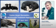Play “    Canine Atopic Dermatitis a multi modal treatment approach”