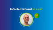 Play “    AST Event - Herve Brissot - Infected wound in a cat”